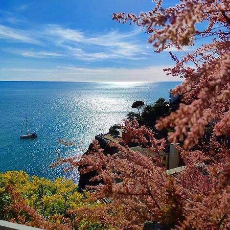 Maison Exotique - Riomaggiore / Cinque Terre / Beach Travel Екстериор снимка